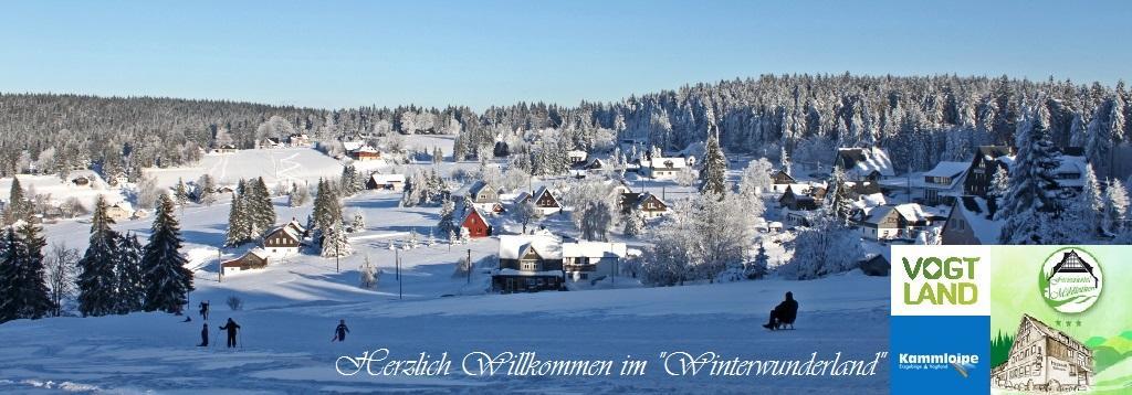 Ferienhotel Muehlleithen Klingenthal Exterior photo
